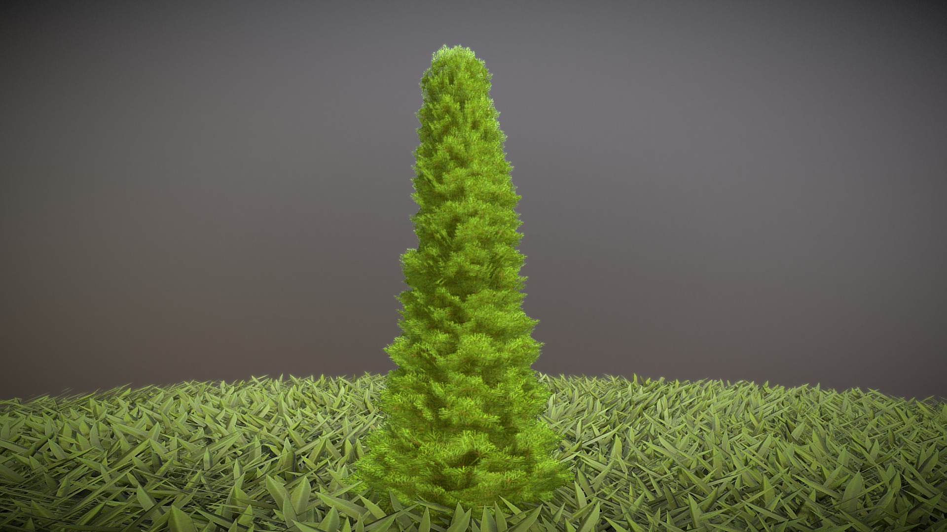 3D model Cypress – Version 1 – ½ Meter - This is a 3D model of the Cypress - Version 1 - ½ Meter. The 3D model is about a green tree with many branches.