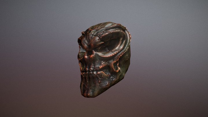 Test - DAKSKULL 3D Model