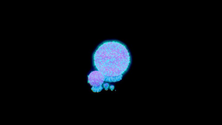 bulb_bush 3D Model