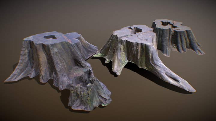 Scanned Stump Collection 3D Model