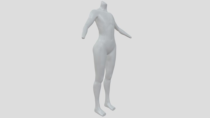 Anatomy study 3D Model