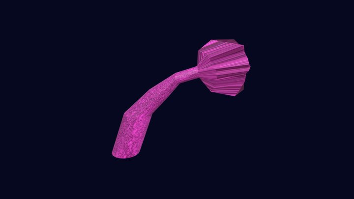 mermaidTail 3D Model