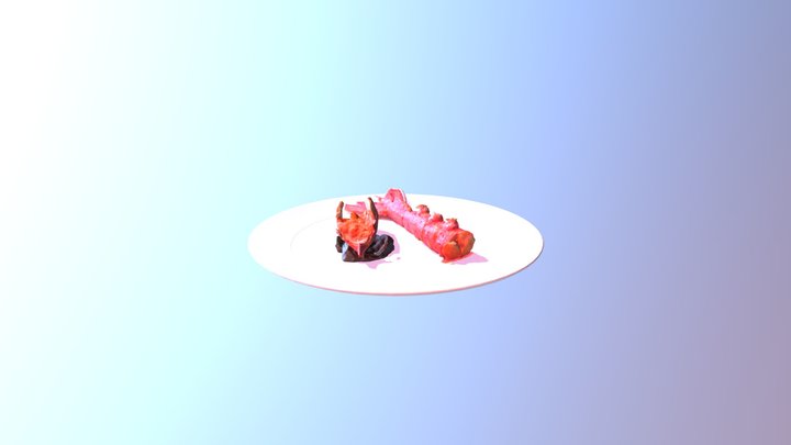 Dish 3D Model
