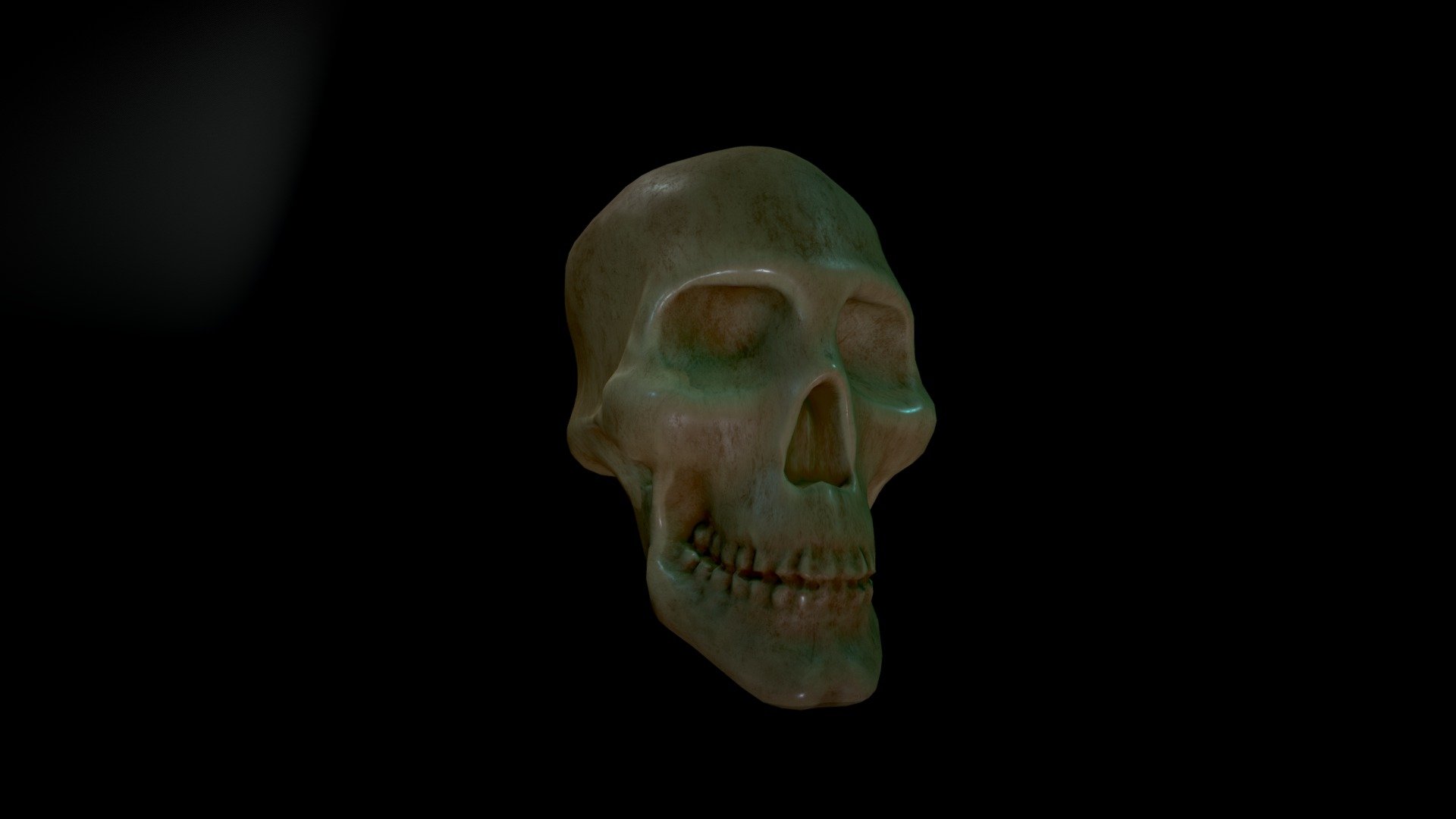 Human skull - duplicated version