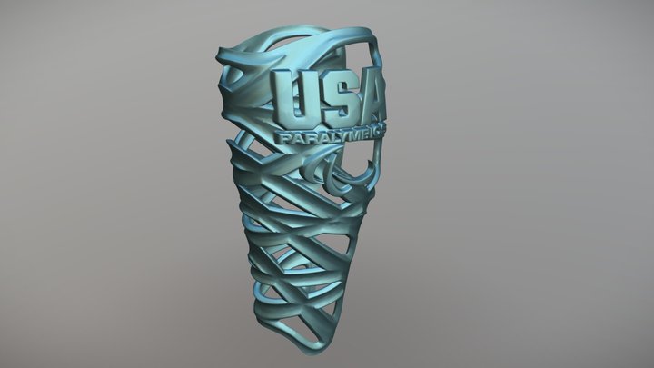 Para Arcs 3D Model