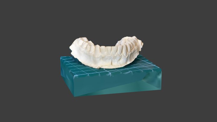 Scan 2023-05-29T10:36:31.812Z 3D Model