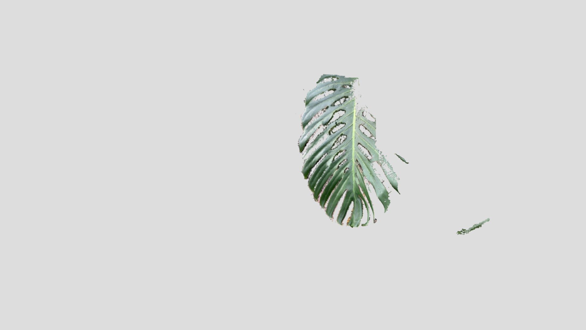 Leaf 1