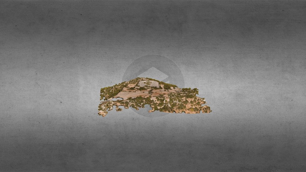 3D model of Cyaneae