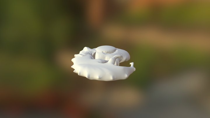 Adam embryo 3D Model