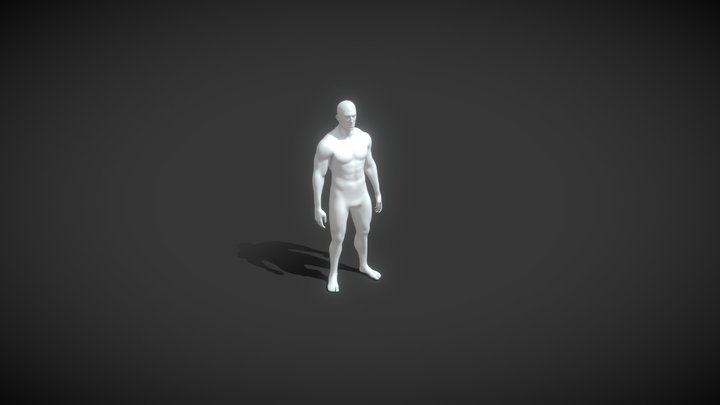 Male Body Base Mesh Animated and Rigged 20k Poly 3D Model