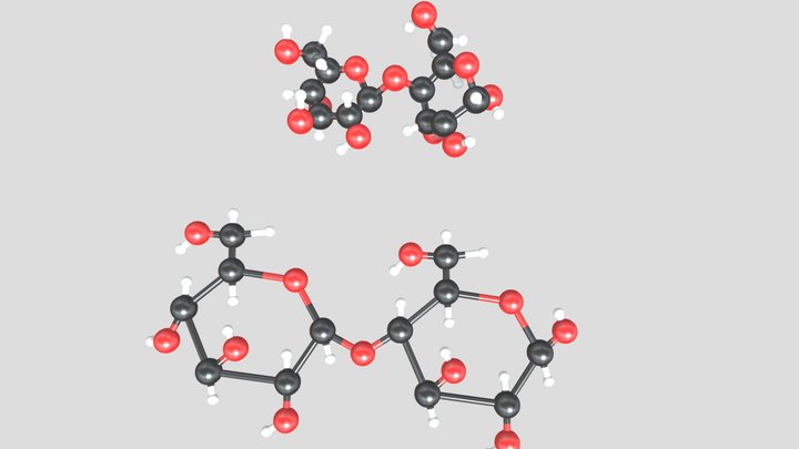 Maltose 3D Model 3D Model