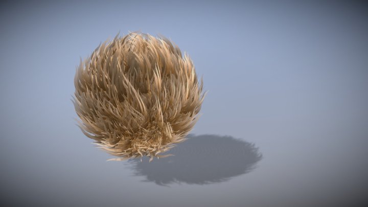 Fur Practice 3D Model