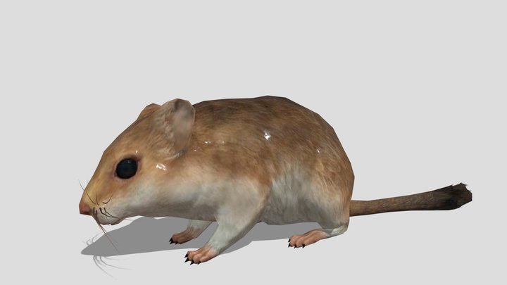 Sand Mouse – Stylized Animated 3D Model – Modello 3D gratuito STL