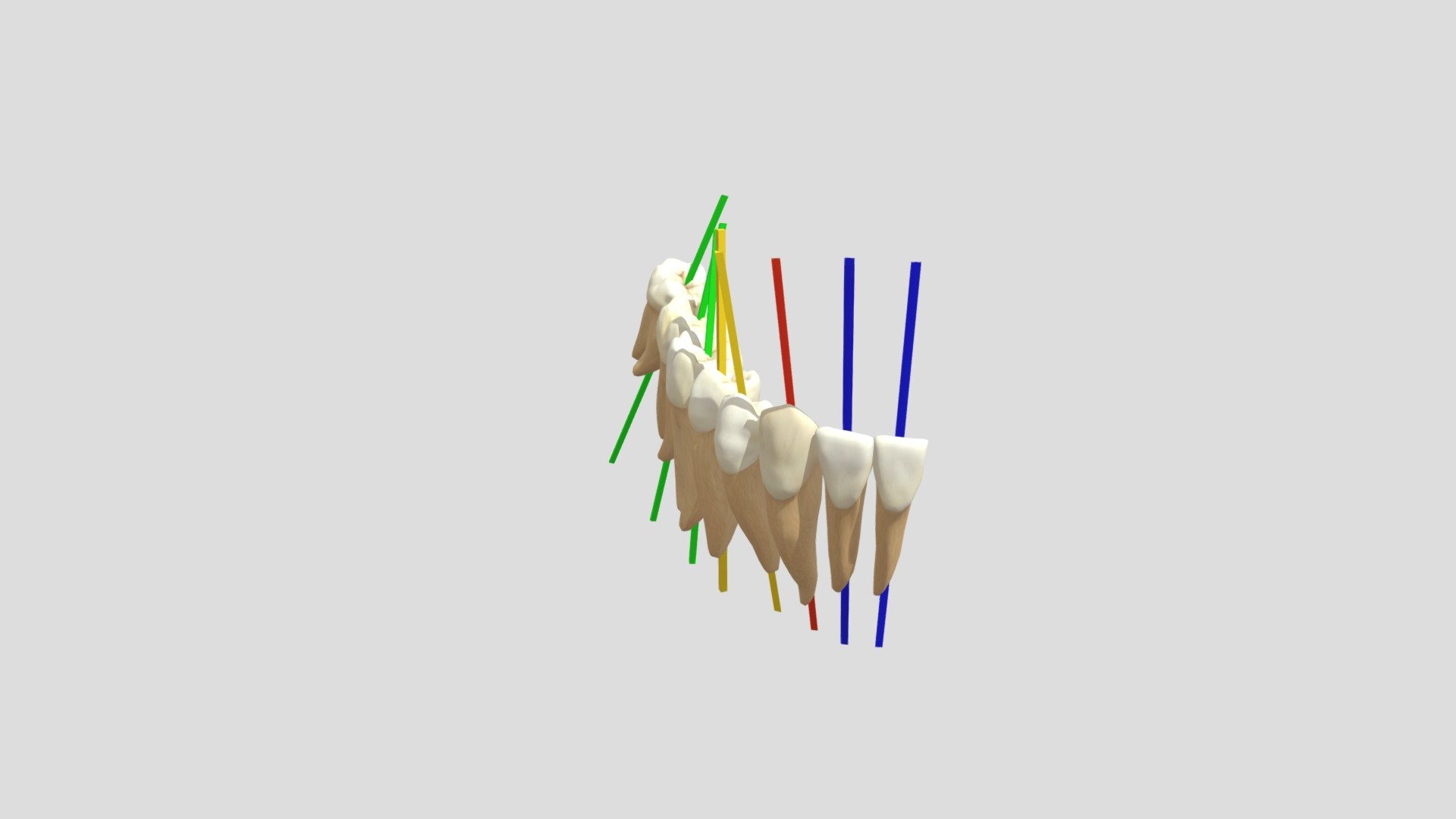 2021 - Axe Mandibule — Sketchfab embed 3D viewer