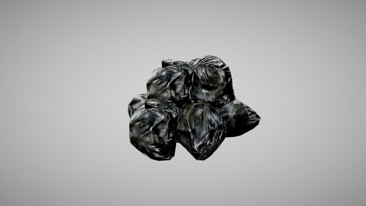 Bags of Trash 3D Model