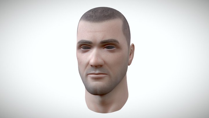 Male Head Textured 3D Model