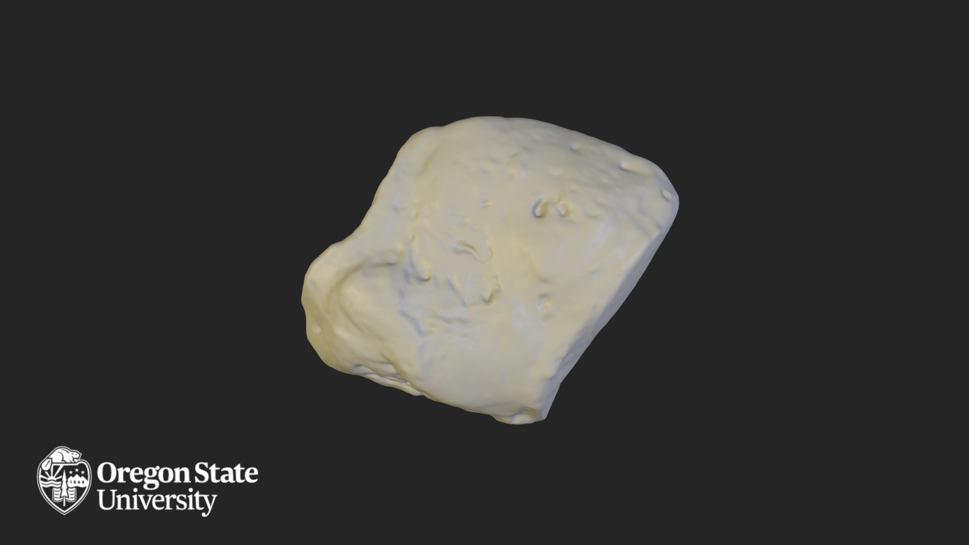 Medial Cunieform