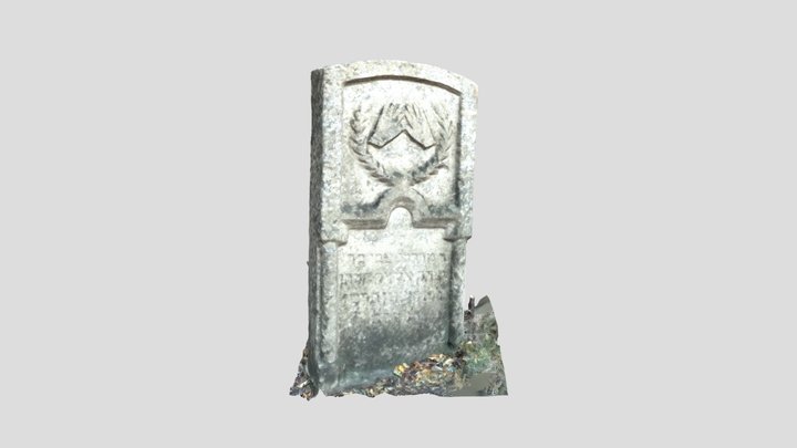 40 3D Model