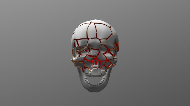 Exploding skull 3D Model