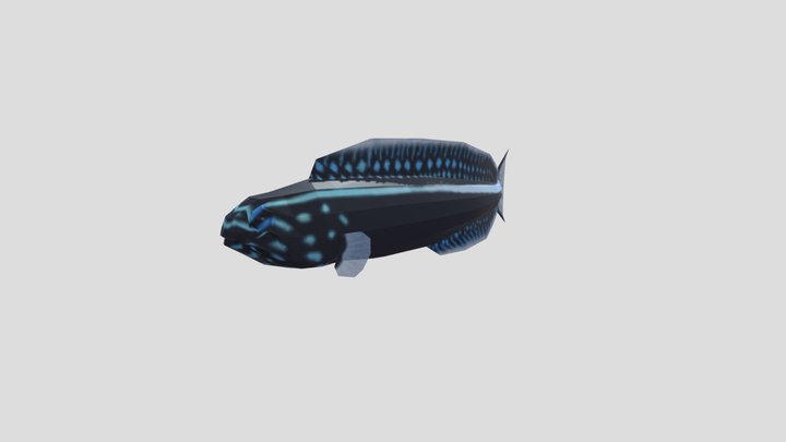 kamohara fang blenny 3D Model