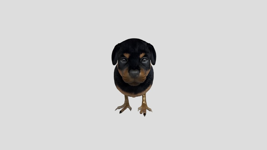 Hybrid puppy-chick creature