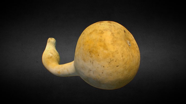 Calabash - Bottle Gourd /dried /punctured 3D Model