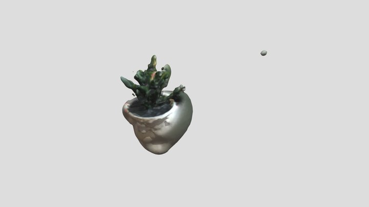 Plant 3D Model