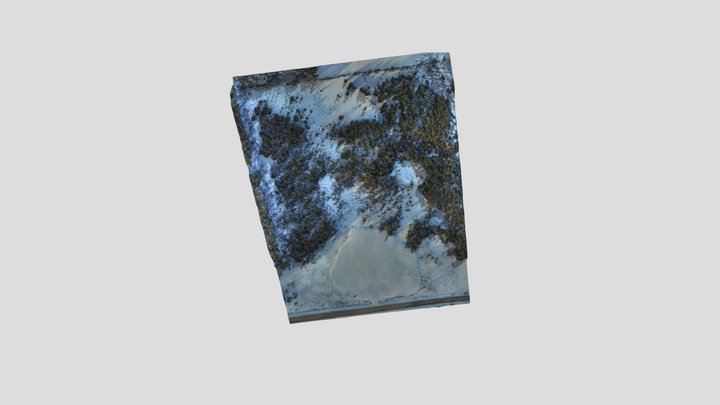 modelSunJan31020510446227 3D Model