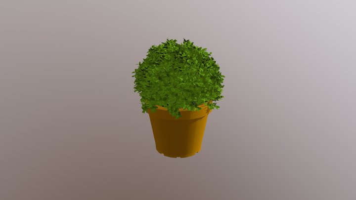 plants 3D Model