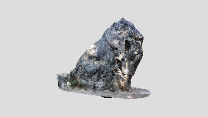 Oroszlán-szikla 3D Model