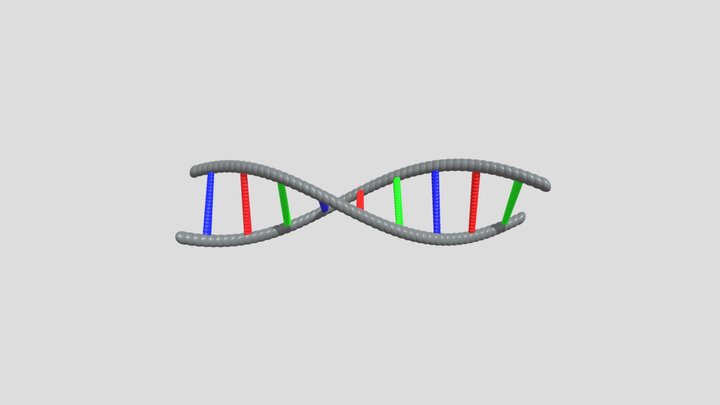 DNA _ Proect - Buga Saveli 3D Model