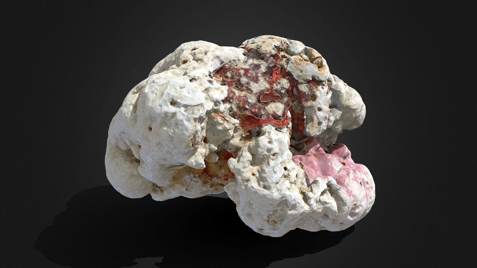 Rock Stone 09  .::RAWscan::.