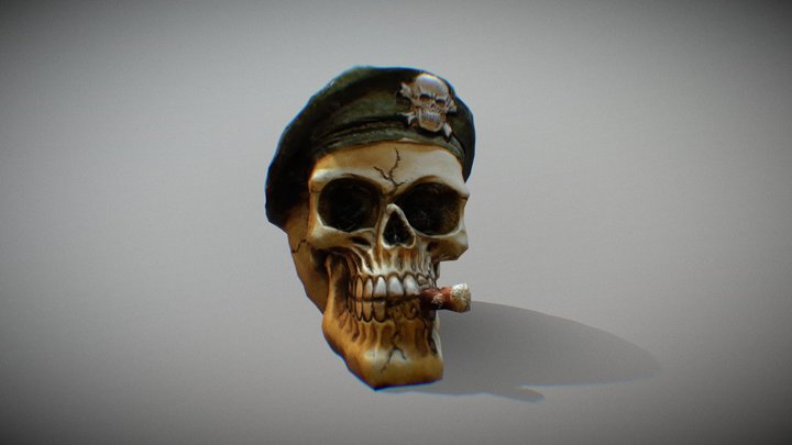 Skull photogrammetry scan 3D Model