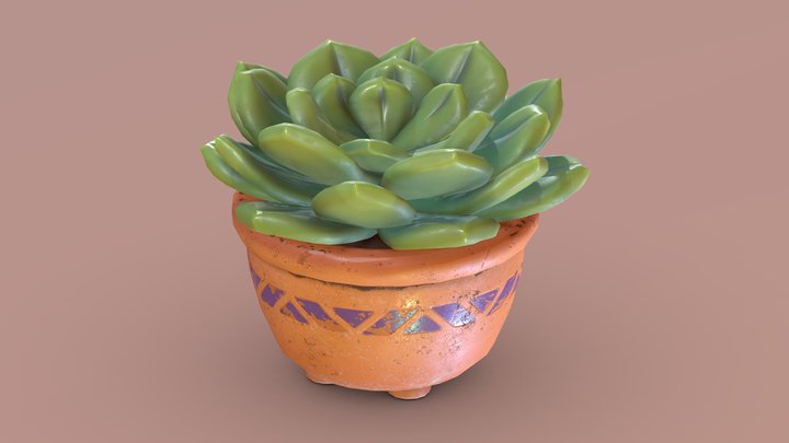 Succulent Friend 3D Model
