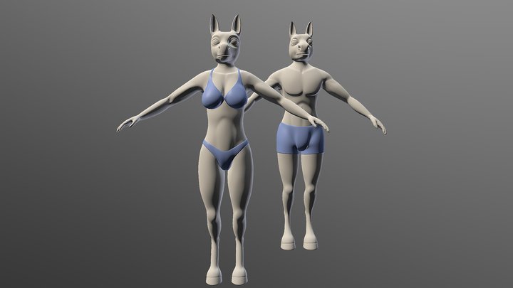 Equine 3D Model
