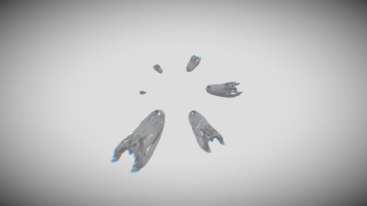 Alligator Ontogeny v3 150k 3D Model