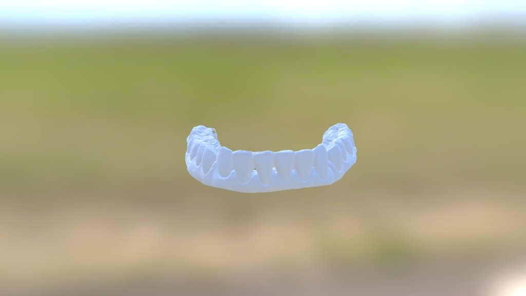Ruval Lower Jaw