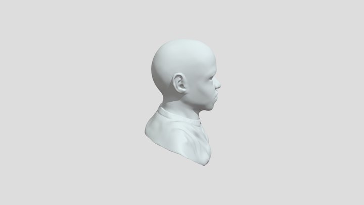 SculptableVersion1 3D Model