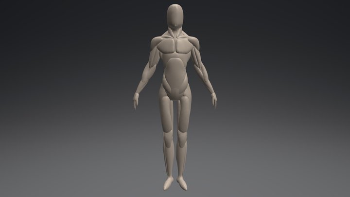 Hero Base Mesh 3D Model