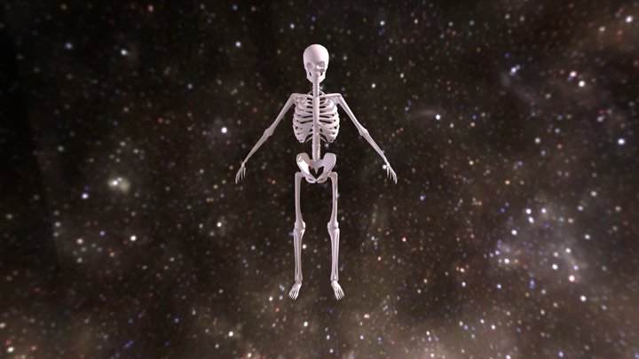 Dancing Skeleton 3D Model