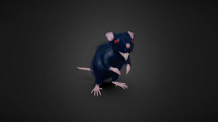 Dire rat 3D Model