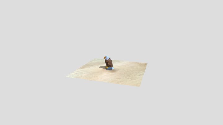 Polycam Project Scan 3D Model