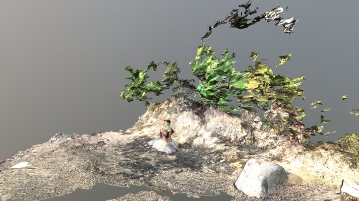 Beach Scan 3D Model