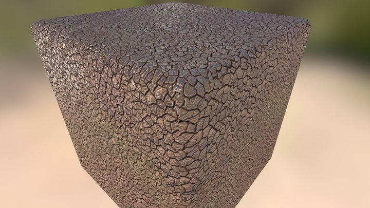 Cracked Soil Substance 3D Model