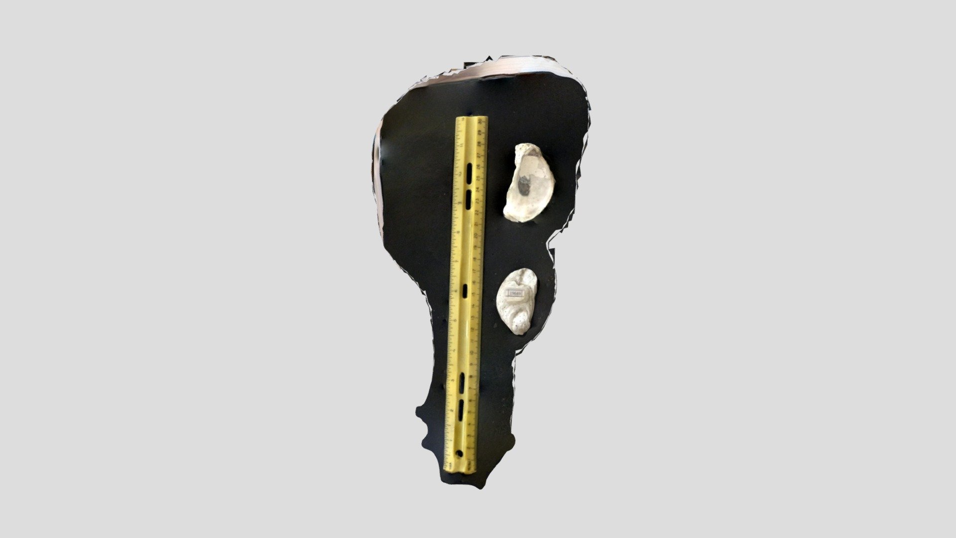 19649