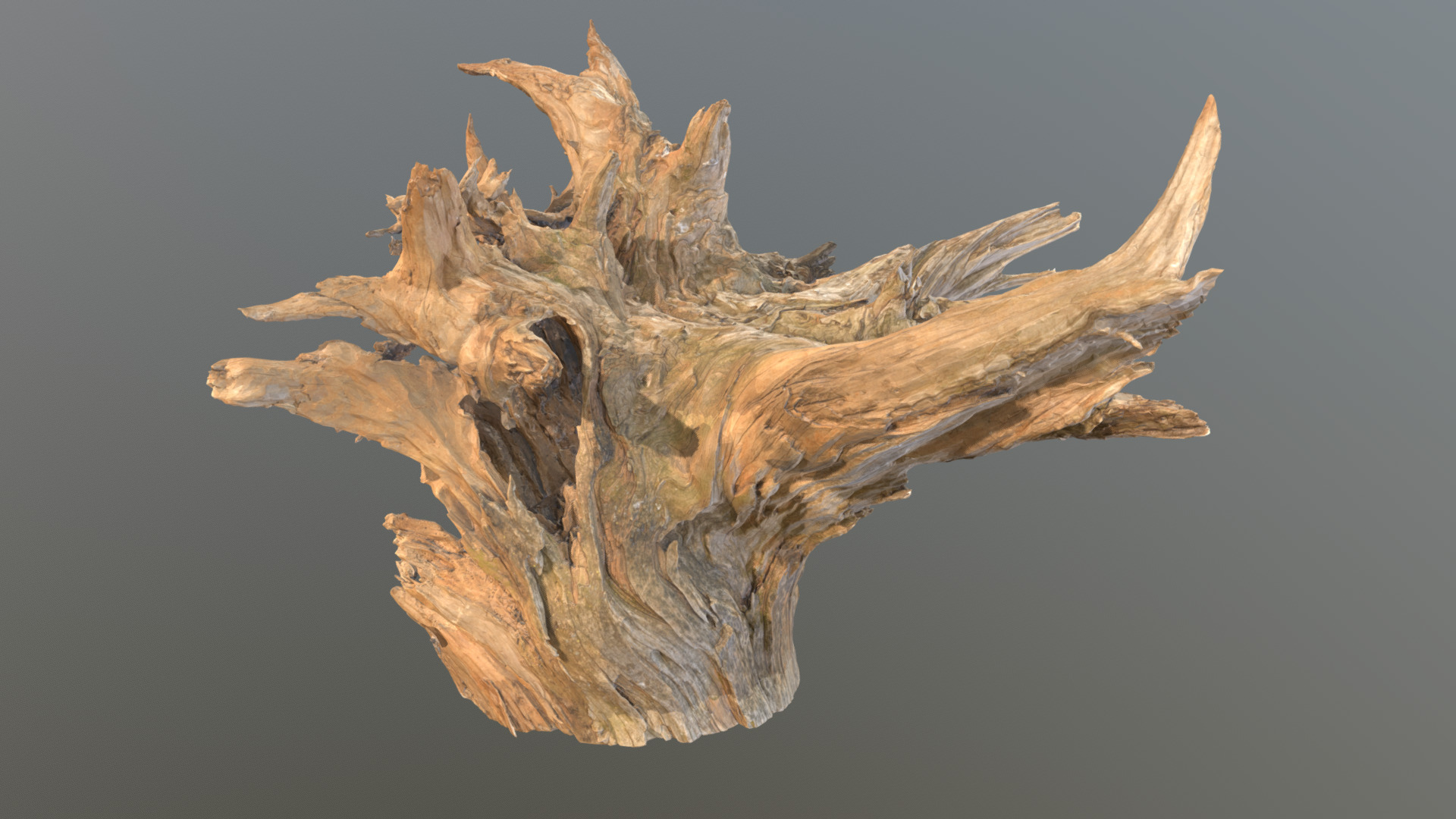 3D model Tree Stump 01 Sketch - This is a 3D model of the Tree Stump 01 Sketch. The 3D model is about a tree branch with many branches.