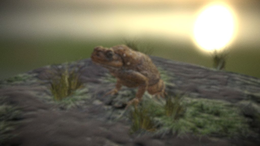 Toad modeled in smoothie3d and blender