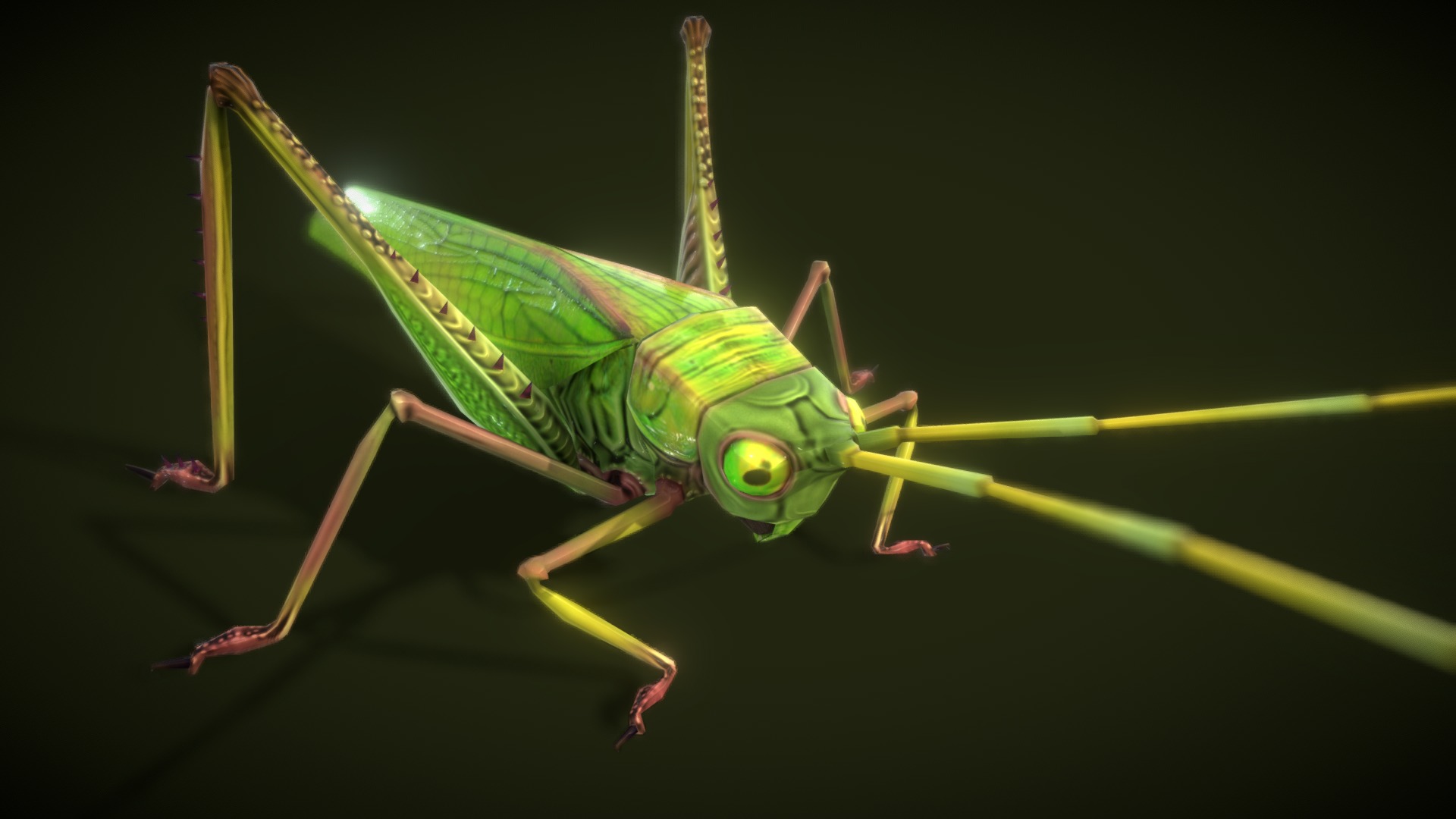 3D model Grasshopper Animals Lowpoly - This is a 3D model of the Grasshopper Animals Lowpoly. The 3D model is about a green insect with yellow eyes.