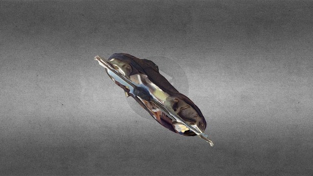 Sisman Skate 3D Model