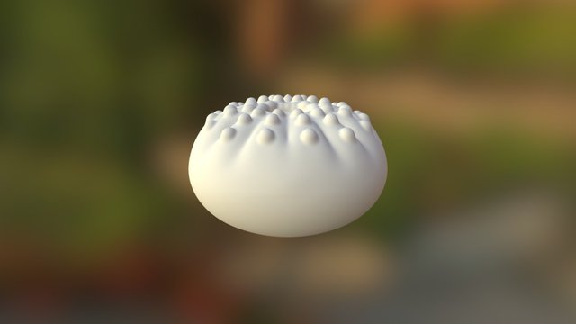 My model 3D Model